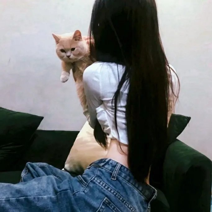 盗皇陵